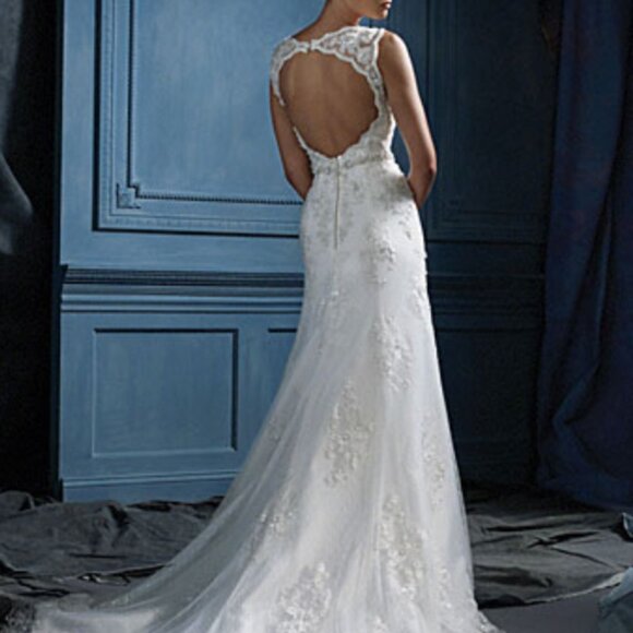 SAMPLE Fit & Flare Sexy BLING Lace Wedding Dress Romantic Mermaid Keyhole Back - Picture 2 of 9